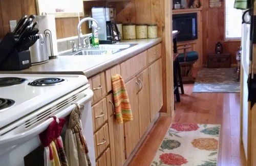 Waynesville Cabin | Pet-Friendly Mountain Cabin with Hot Tub and Scenic Views