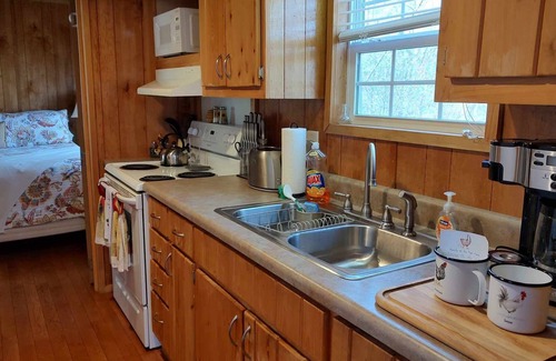 Waynesville Cabin | Pet-Friendly Mountain Cabin with Hot Tub and Scenic Views