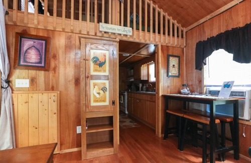 Waynesville Cabin | Pet-Friendly Mountain Cabin with Hot Tub and Scenic Views