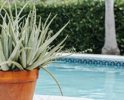 Seven Mile Beach Villa | Private Pool 3 Bedrooms Oasis Sandalwood Escape