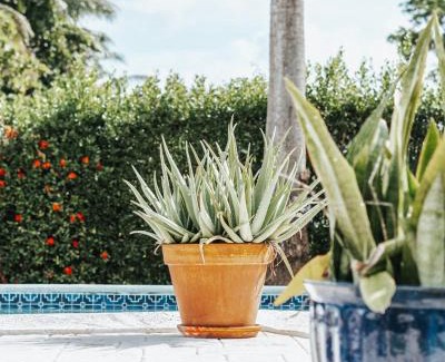 Seven Mile Beach Villa | Private Pool 3 Bedrooms Oasis Sandalwood Escape