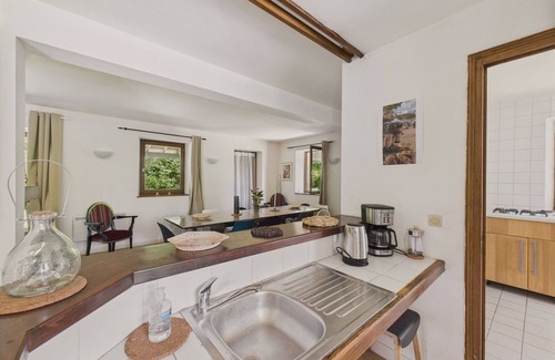 Peyzac-le-Moustier House | Private pool – house for 10 adults and 2 children