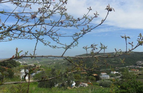 Arruda dos Vinhos Resort | Comfortable Private Room for Two Guests Awaiting You