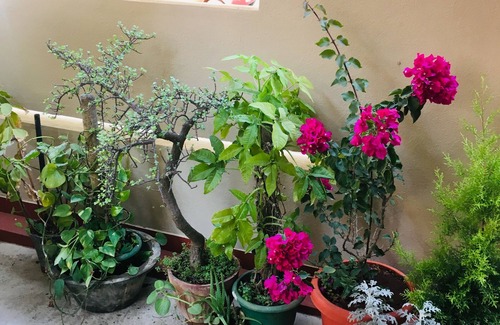 Bengaluru House | Cozy Bungalow with Kitchen: Your Private Retreat Awaits
