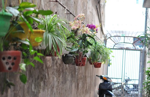 Truc Bach House | Cozy Room Steps from Hoan Kiem Lake & Old Quarter