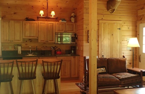 Londonderry Cabin | Secluded Trout Cabin Retreat for Couples - Pet Friendly
