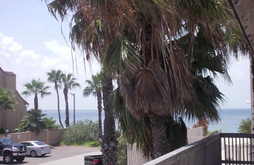 South Padre Island House | Private House with Deck & Ocean View, Perfect for Fireworks