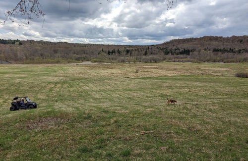 Osceola RV Rental | Experience Tranquil Private Tent Camping by the Salmon River