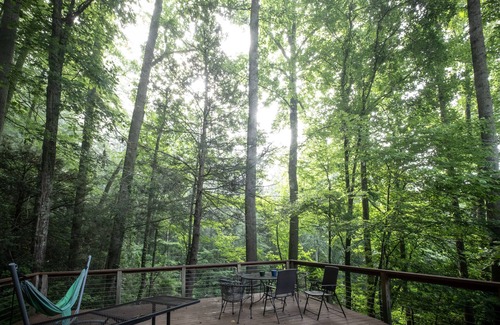 Skyland House | Private Wooded Paradise with Hot Tub & Summer Pool, 9.8/10