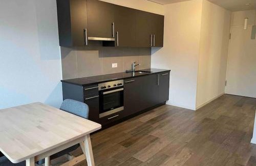 Prilly Apartment | Well-Equipped Studio Near Lausanne for Your Getaway