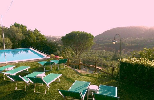 Calci House | Idyllic House with Garden and Pool Surrounded by Olive Trees