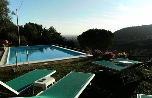 Calci House | Idyllic House with Garden and Pool Surrounded by Olive Trees