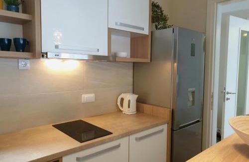 Krusevac Apartment | Outstanding PRONTO Apartman & Studios - 4-Star Comfort Awaits