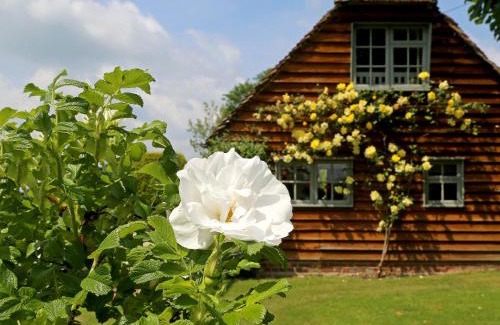 Tenterden House | Inviting Prospect Cottage: Pet & Child Friendly Getaway