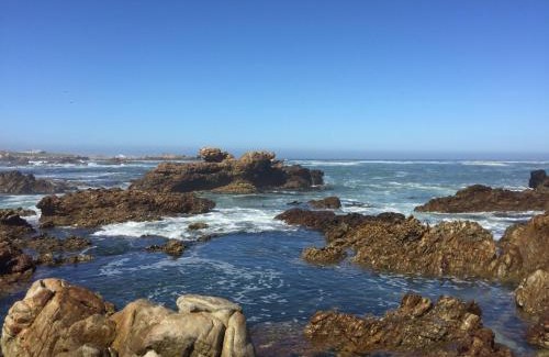 Rooiels Villa | Beachfront Bliss at Proteus Beach House - Pet Friendly & Pool