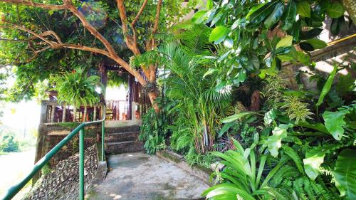 Nan House | Cozy Pround Nan Cottage: Family-Friendly with Breakfast & More