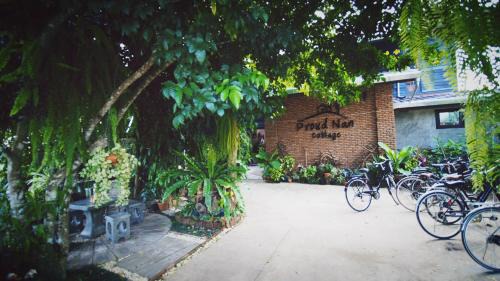 Nan House | Cozy Pround Nan Cottage: Family-Friendly with Breakfast & More