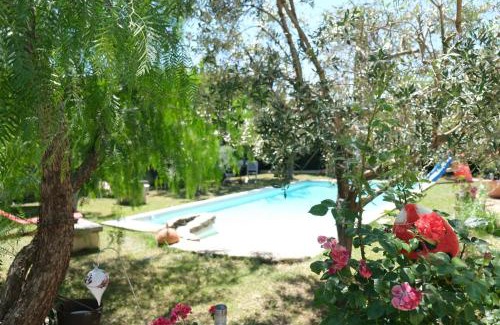 Mouries Villa | Inviting Provençal House with Pool in Mouriès, Provence