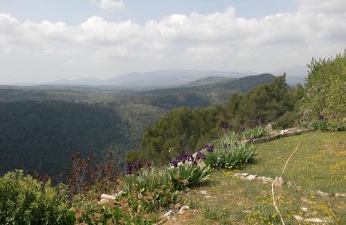 Saint-Cezaire-sur-Siagne House | Intimate Provencal Cabanon with Private Pool for Couples