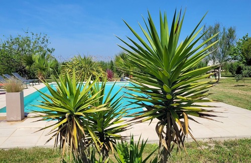 Albaron Villa | Idyllic Provencal Villa with Pool near Arles & Saintes-Maries