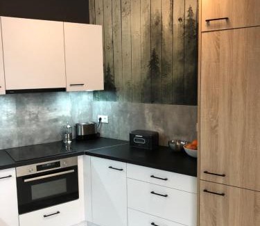 Swieradow-Zdroj Apartment | Child-Friendly Stay at Przy Zajęczniku - Rated 9.9/10!