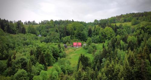 gmina Kamienica House | Idyllic Przysiółek Flądrówka: Scenic Retreat with Pool