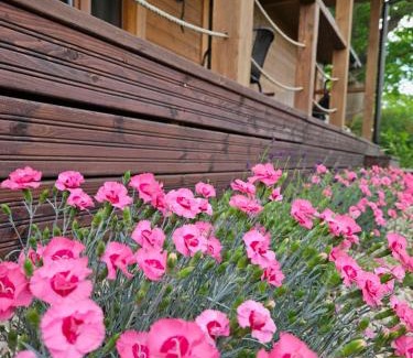 Gałkowo House | Discover Przystanek Gałkowo: Pet & Child Friendly Retreat