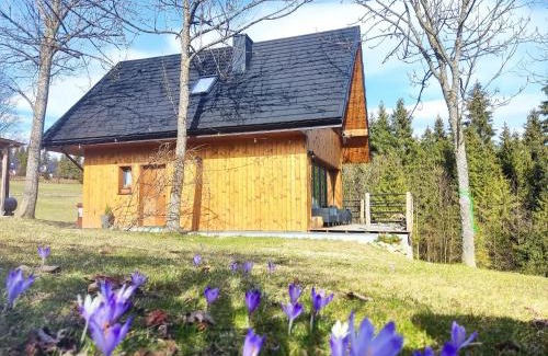 Nowy Targ Ski Chalet | Exceptional Stay at Przystanek Gorce: Oceanfront Retreat