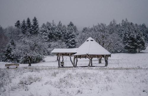 Ustrzyki Dolne House | Explore Przystanek Ropienka Leśniczówka: 9.8 Guest Rating