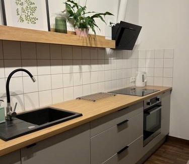 Wielen Apartment | Top-Rated Przytulny Apartament Mickiewicza for Families