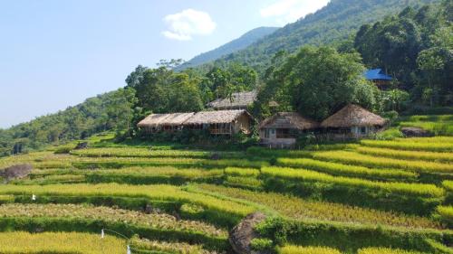 Pu Long Nature Reserve Other | Discover Pu Luong Ecocharm: Poolside with Ocean Views