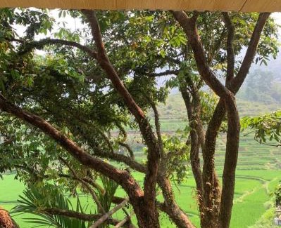 Kho Muong Cabin | Experience Pu Luong Ecostay: Rated 9.5 with Pool & Spa