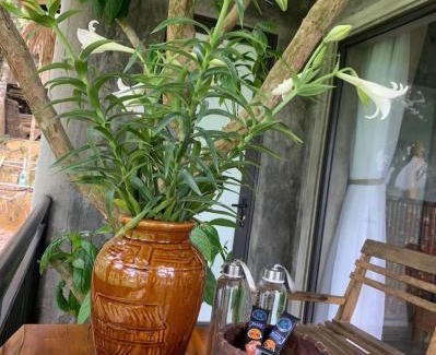 Kho Muong Cabin | Experience Pu Luong Ecostay: Rated 9.5 with Pool & Spa