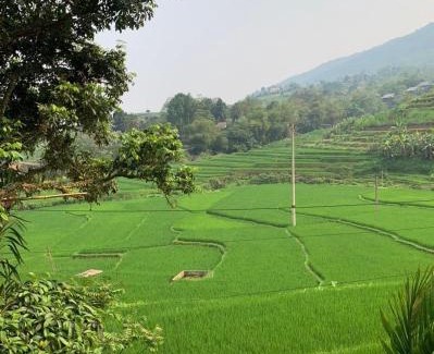 Kho Muong Cabin | Experience Pu Luong Ecostay: Rated 9.5 with Pool & Spa