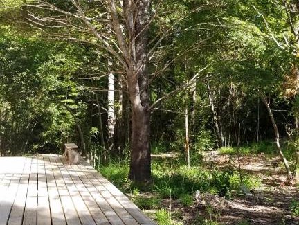 Palguin Alto House | Guest Rated 10/10: Casa Manke in Beautiful Pucón
