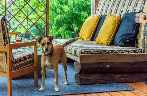 Perocseny House | Family-Friendly Getaway at Puckó: Rated 9.6/10!