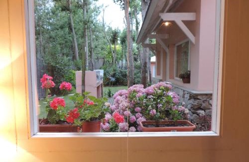 Las Gaviotas Cabin | Pet-Friendly Retreat at Puerto de Lilas - Rated 9/10