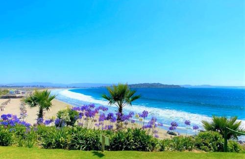Tongoy Apartment | Beachfront Escape at Puerto Velero - Rated 9.9/10!