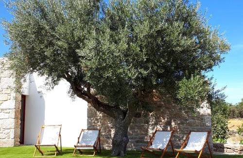 Miranda do Douro House | Experience Puial de l Douro: 4-Star Oceanfront Retreat