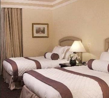 Aeroporto Internacional Governador Andre Franco Montoro Hotel | Elegant Pullman Sao Paulo Guarulhos Airport - Pet Friendly Stay