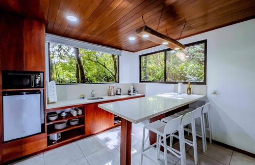 Quebrada Grande Apartment | Discover Puma Meraki Monteverde: Pet-Friendly Paradise