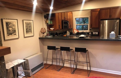 Guerneville Cottage | Pet-Friendly Pumpkin House with High Guest Ratings