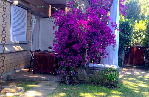 Punta Ala House | Beachside Punta Ala Full House: Family & Pet Friendly Stay