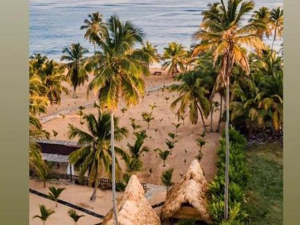 Higuey Cabin | Beachfront Ecolodge at Lavacama: Pet Friendly Retreat