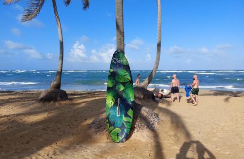Higuey Cabin | Beachfront Ecolodge at Lavacama: Pet Friendly Retreat