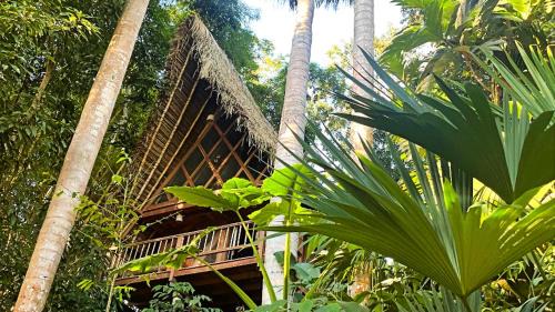 San Antonio de Cumbaza Cabin | Eco-Friendly PUQIO ECOLODGE with Kitchen Amenities