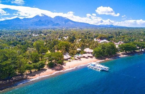 Dauin Resort | Pura Vida Beach & Dive Resort: 9/10 Rated with Ocean View