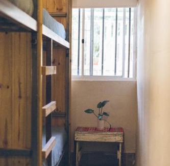 Yerba Buena Hotel | Discover Pura Vida Mae Hostel: 9/10 Rated, Pet-Friendly Stay