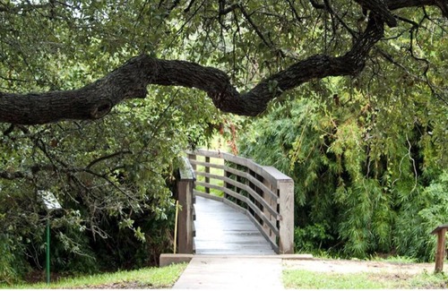 San Antonio House | Elegant Stay at San Antonio's Royal Paradise Retreat