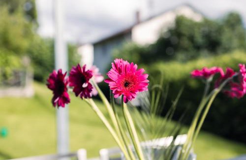 Owingen Apartment | Discover Purer Genuss - Garden and Alpe: Family & Pet Friendly